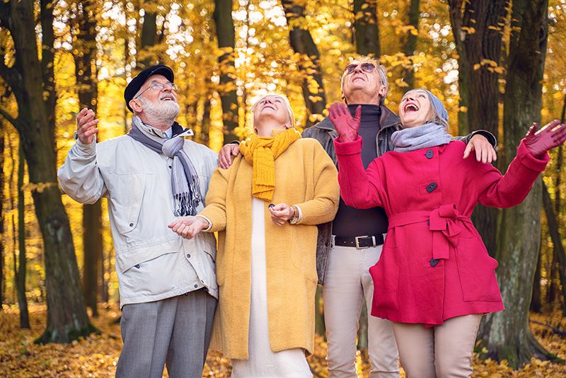 Senior group of friends on a fall nature walk surrounded by trees with golden leaves.
